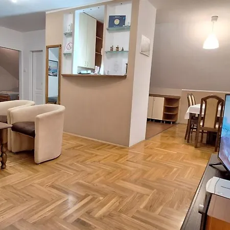 Ana Apartment Dobanovci Exterior photo