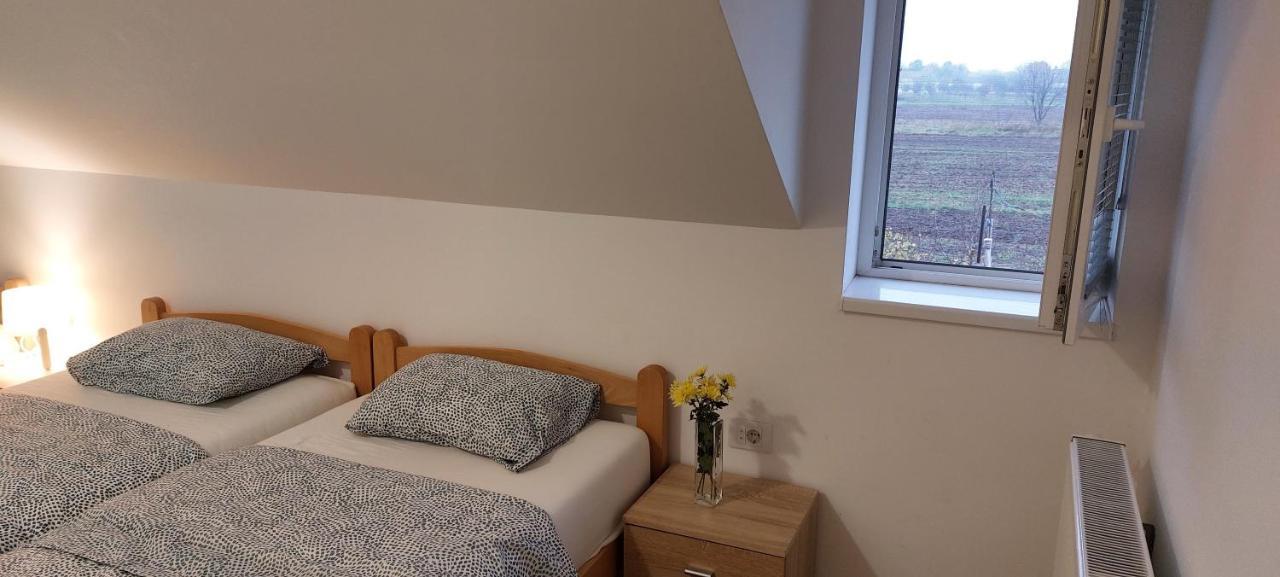Ana Apartment Dobanovci